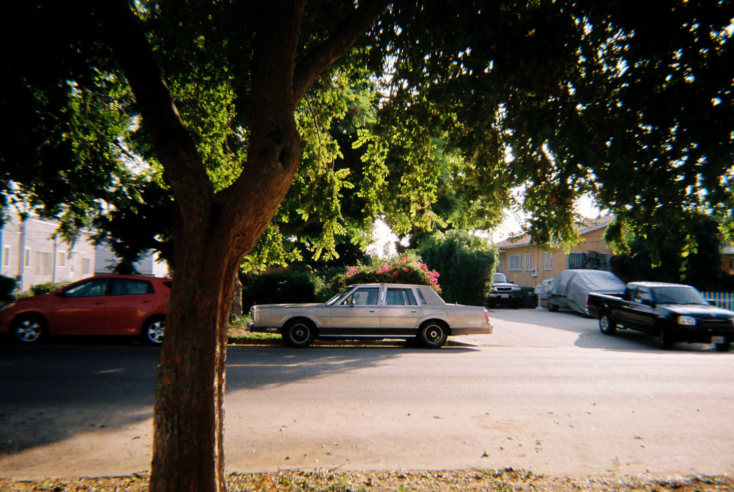 Moment 35mm Film Camera Moment