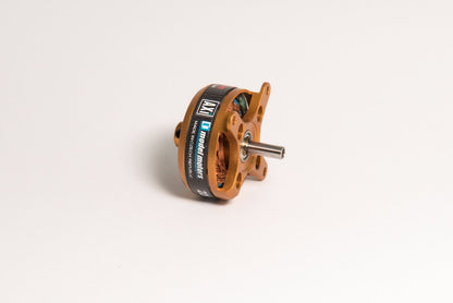 AXI 2203/RACE GOLD LINE V2